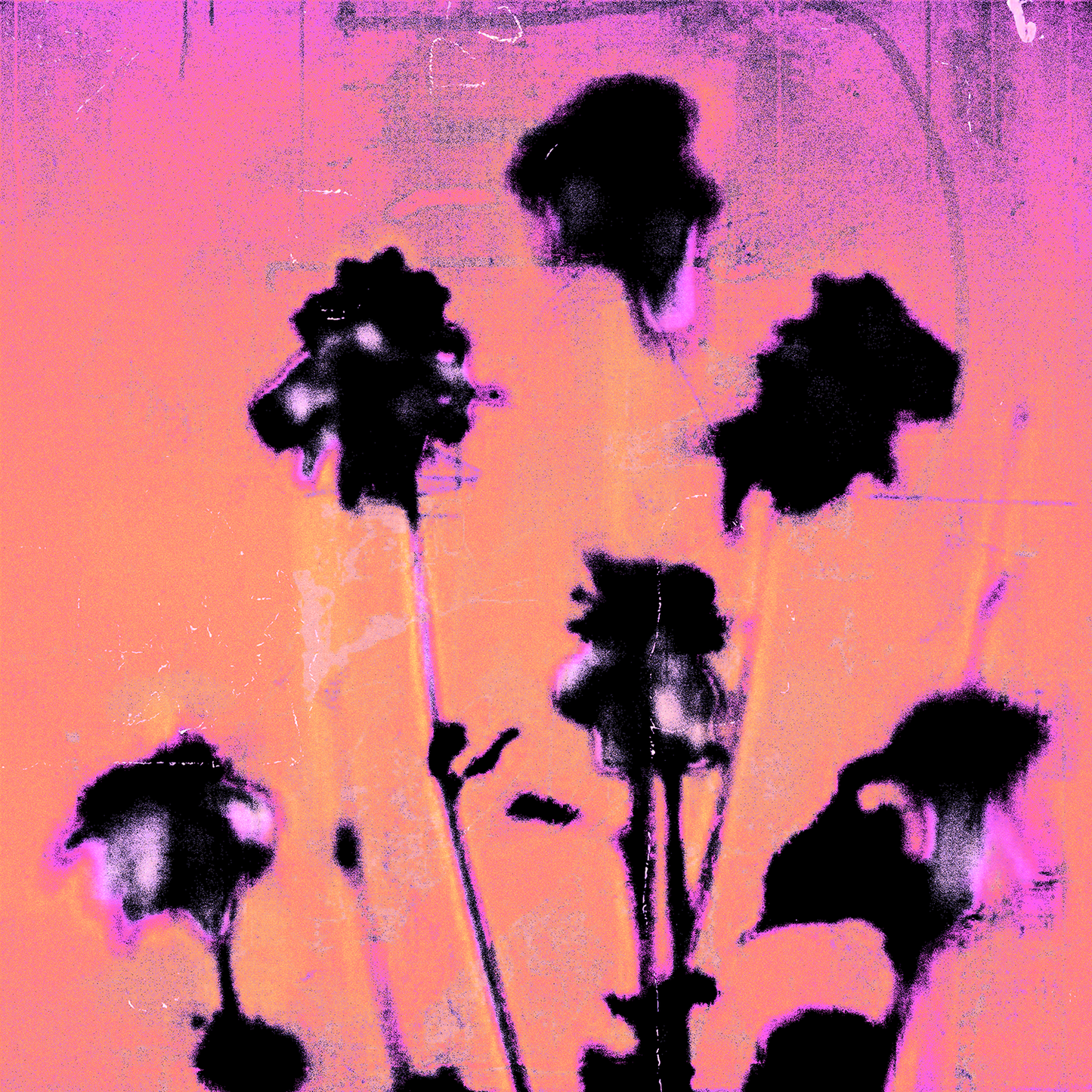 ✿_florae {creative kit}