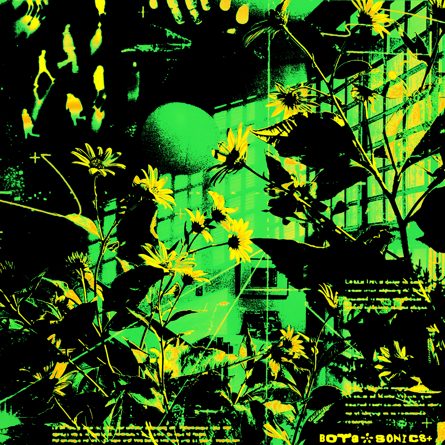 ❀_plantae {creative kit}